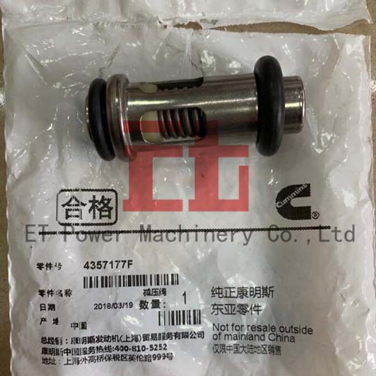 Cummins check valve